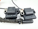 2006 Evinrude 40 HP Etec 2 Stroke Outboard Ignition Coil Set 0586817 OEM