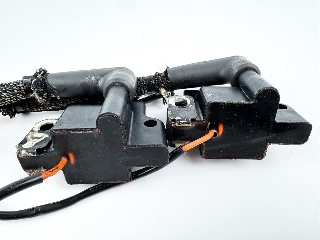 2006 Evinrude 40 HP Etec 2 Stroke Outboard Ignition Coil Set 0586817 OEM