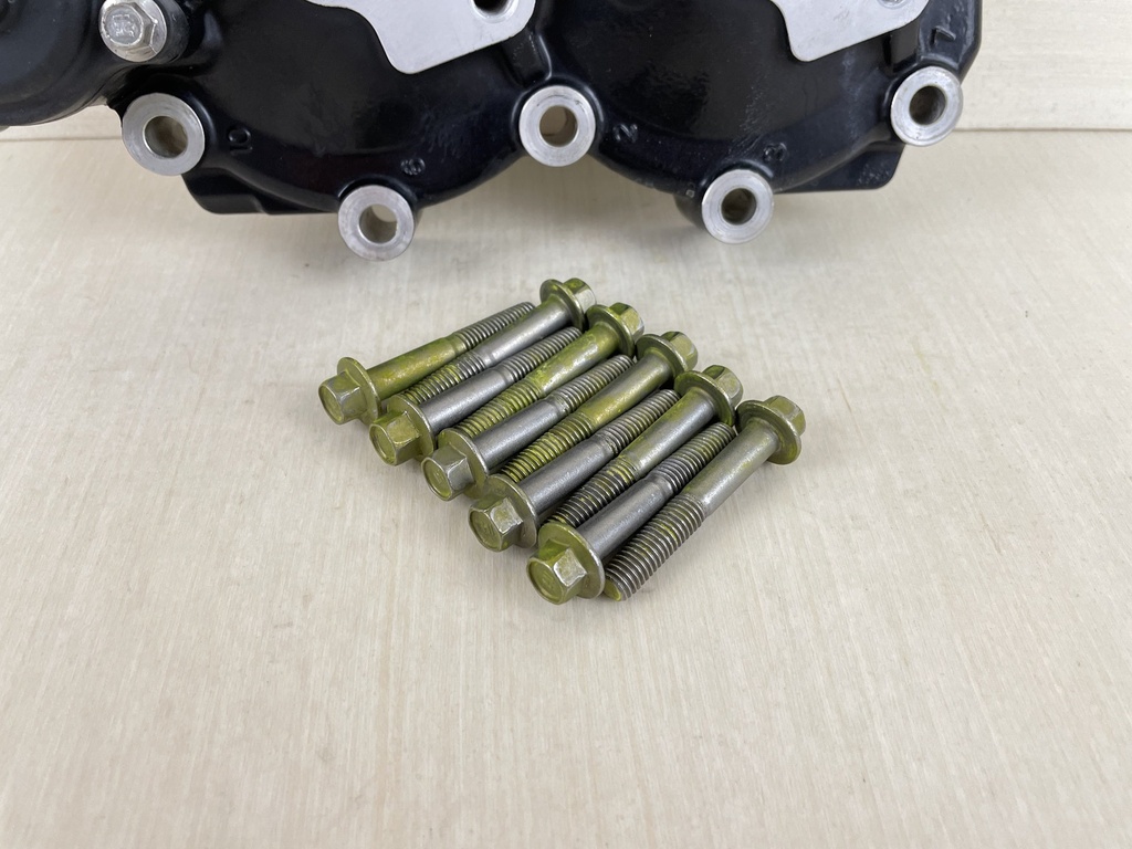 2016 Evinrude 25HP 2 Stroke Outboard Cylinder Head Assembly 0355133