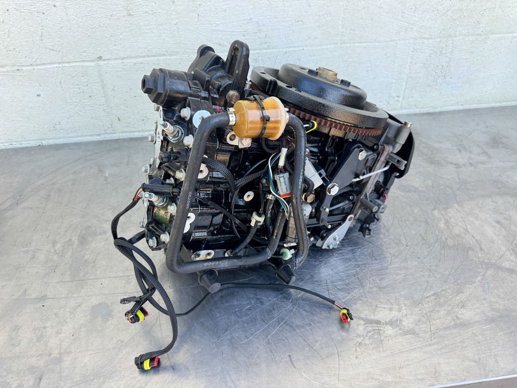 2006 Evinrude 40 HP 2 Stroke Outboard Powerhead 5006190 OEM