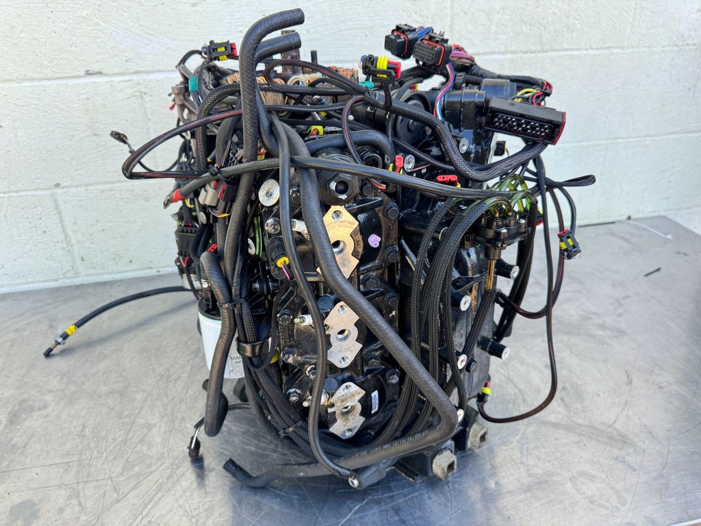 2017 Evinrude 200 HP 2 Stroke Outboard Powerhead 5007437 OEM