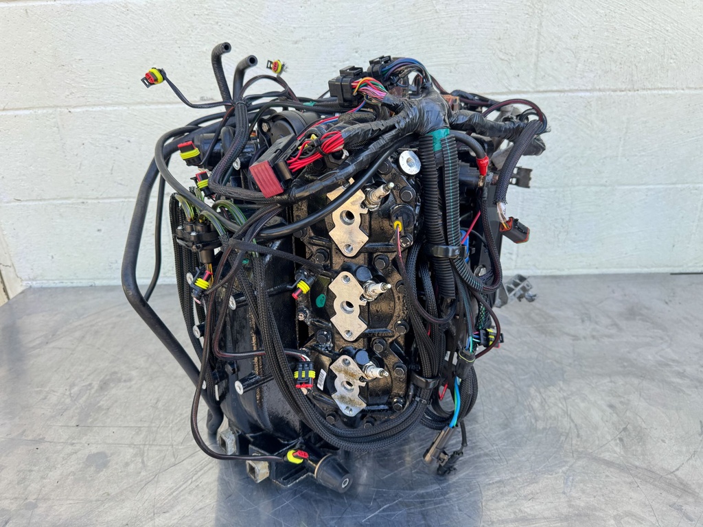 2017 Evinrude 200 HP 2 Stroke Outboard Powerhead 5007437 OEM