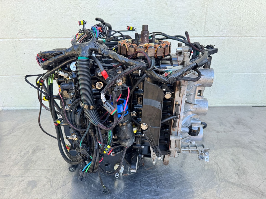 2017 Evinrude 200 HP 2 Stroke Outboard Powerhead 5007437 OEM