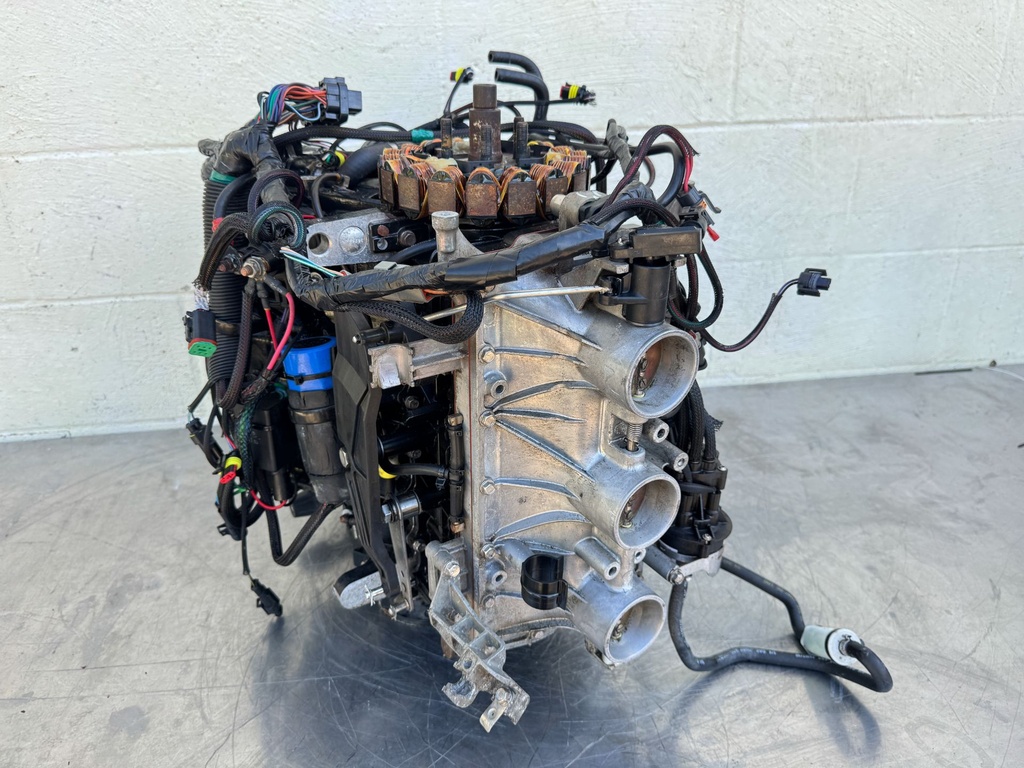 2017 Evinrude 200 HP 2 Stroke Outboard Powerhead 5007437 OEM