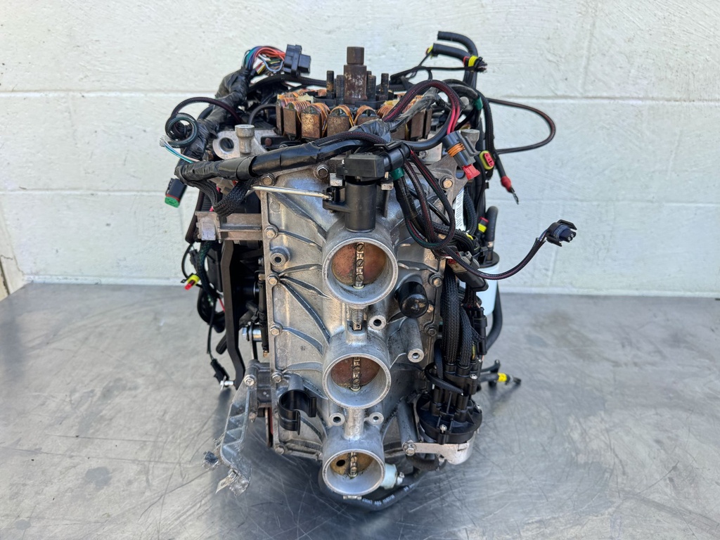 2017 Evinrude 200 HP 2 Stroke Outboard Powerhead 5007437 OEM