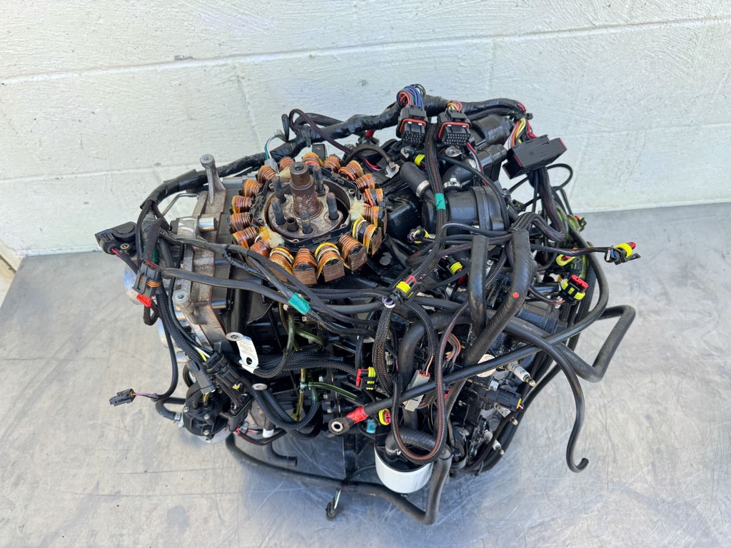 2017 Evinrude 200 HP 2 Stroke Outboard Powerhead 5007437 OEM