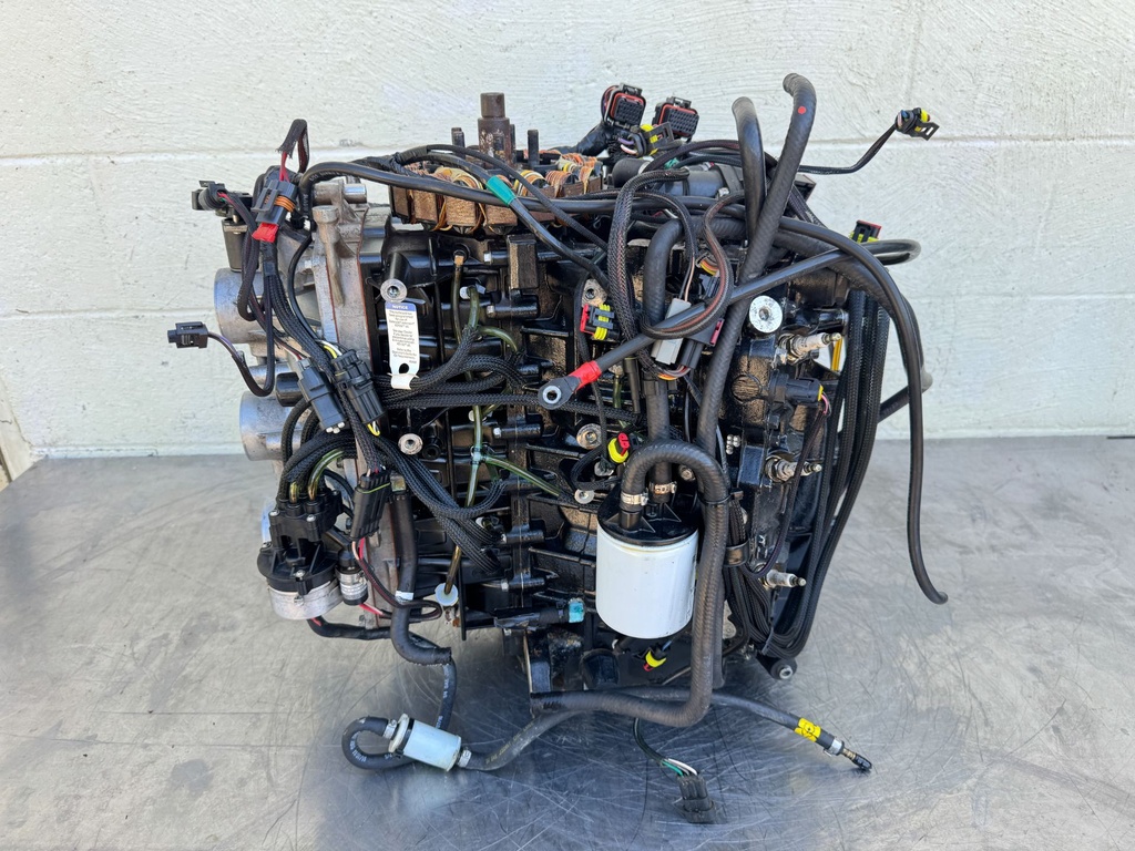 2017 Evinrude 200 HP 2 Stroke Outboard Powerhead 5007437 OEM