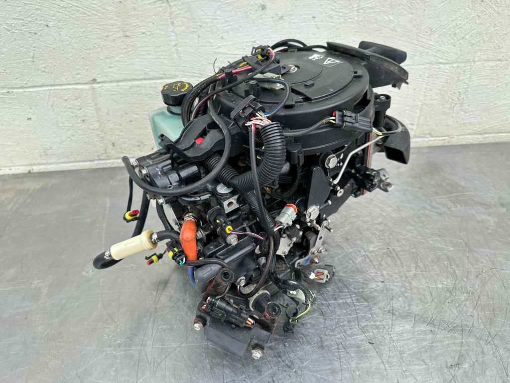 2013 Evinrude 30 HP 2 Stroke Outboard Powerhead 5008167 OEM