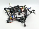 2019 Yamaha 250 HP 4 Stroke Outboard Engine Wire Harness 6CE-82590-15-00 OEM