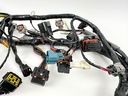 2019 Yamaha 250 HP 4 Stroke Outboard Engine Wire Harness 6CE-82590-15-00 OEM