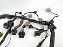 2019 Yamaha 250 HP 4 Stroke Outboard Engine Wire Harness 6CE-82590-15-00 OEM