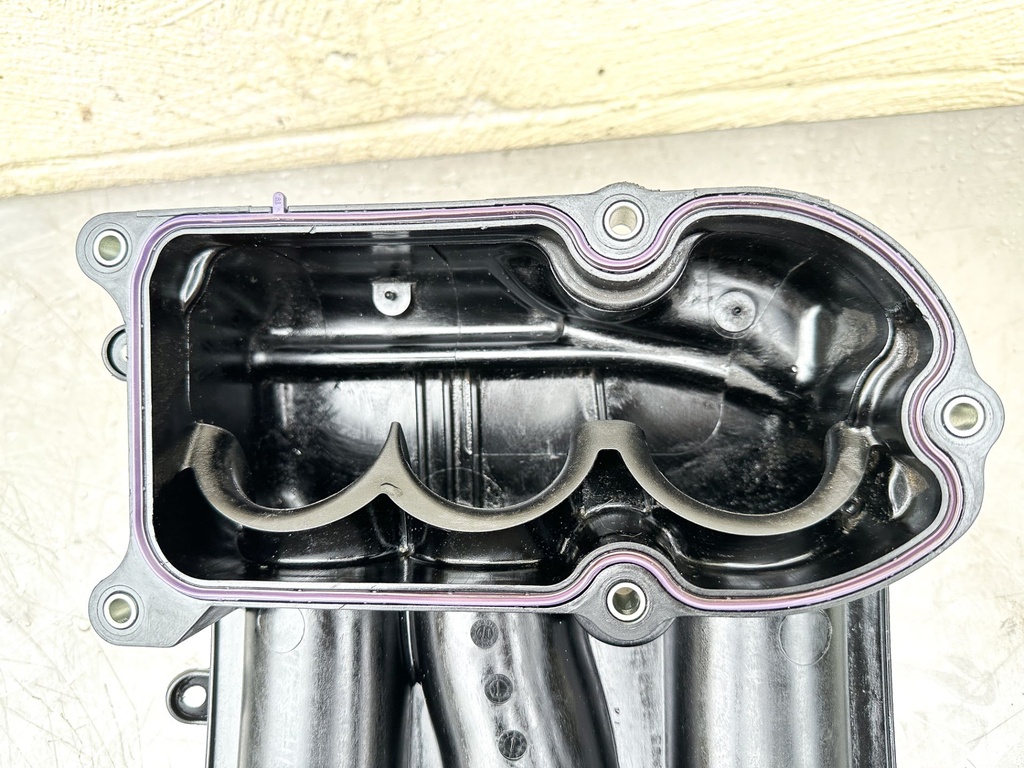 2019 Yamaha 250 HP 4 Stroke Outboard Intake Manifolds Manifold Set 6CE-13641-00-00