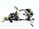 2004 Honda 40 HP 4 Stroke Outboard Engine Wire Harness 32520-ZW4-H10 OEM