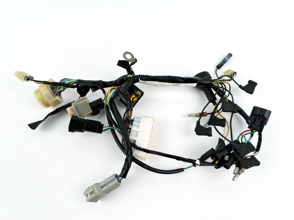 2004 Honda 40 HP 4 Stroke Outboard Engine Wire Harness 32520-ZW4-H10 OEM