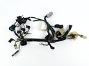 2004 Honda 40 HP 4 Stroke Outboard Engine Wire Harness 32520-ZW4-H10 OEM