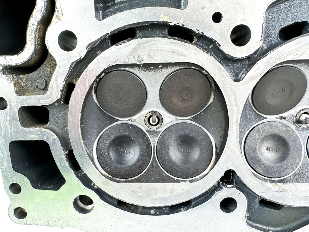 2019 Yamaha F250 250 HP 4 Stroke Outboard Port Cylinder Head 6CE-W009C-03-9S OEM