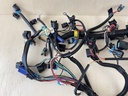 Mercury Verado 250HP Outboard Engine Wiring Harness Assembly 880616T04