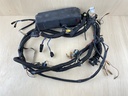 2001 Mercury 250HP 2 Stroke EFI Outboard Engine Wire Harness Assembly 825433A11