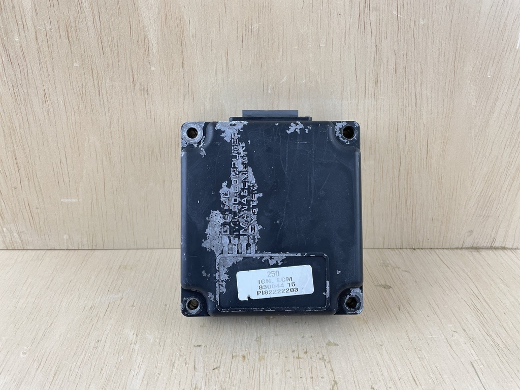 2001 Mercury 250HP 2 Stroke EFI Engine Control Module ECU ECM 83004415T