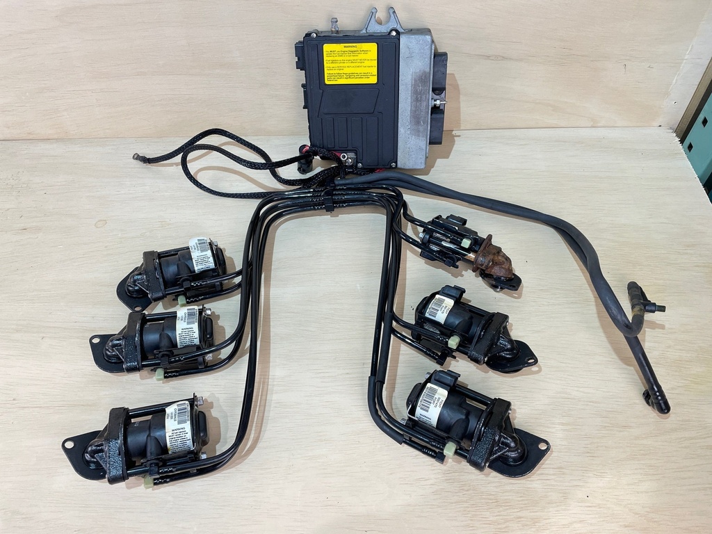 2000 Evinrude Ocean Pro 225HP Computer EMM With Injectors 586724