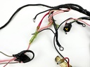 2003 Yamaha 70 HP 2 Stroke Outboard Engine Wire Harness 6H2-82590-13-00 OEM