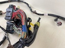 2015 Yamaha 115HP 4 Stroke Outboard Engine Wire Wiring Harness 6EK-82590-00-00