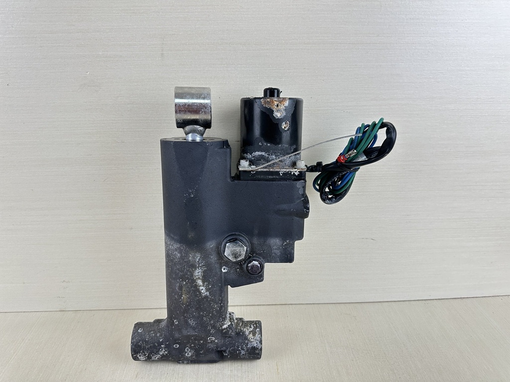 2008 Evinrude Etec 90HP Outboard Trim & Tilt Assembly 5005756 5008949