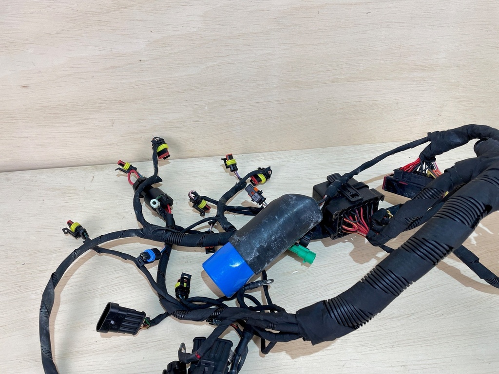 Evinrude Etec G2 150HP Outboard Engine Wiring Harness Assembly 0587320