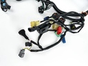 2006 Honda 135 HP 4 Stroke Outboard Engine Wire Harness 32100-ZY5-020 OEM