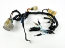 1996 Honda 50 HP 4 Stroke Outboard Engine Wire Harness 32520-ZV5-820 OEM