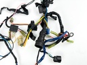 1999 Yamaha 250 HP 2 Stroke Outboard Engine Wire Harness 65L-82590-00-00 OEM