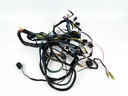 1999 Yamaha 250 HP 2 Stroke Outboard Engine Wire Harness 65L-82590-00-00 OEM