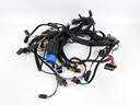 2002 Evinrude 200 HP 2 Stroke Ficht Outboard Engine Wire Harness 0586727 OEM