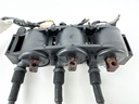 2011 Honda 50 HP 4 Stroke Outboard Ignition Coil Set 30511-ZZ5-013 OEM