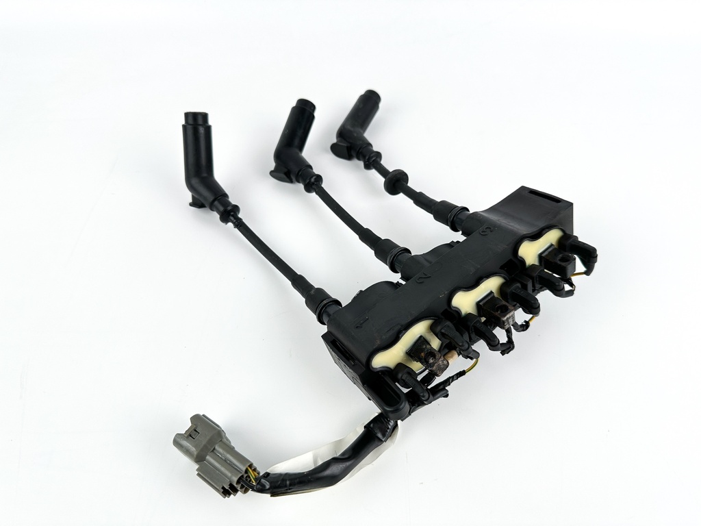 2012 Honda 50 HP 4 Stroke Outboard Ignition Coil Set 30511-ZZ5-013 OEM