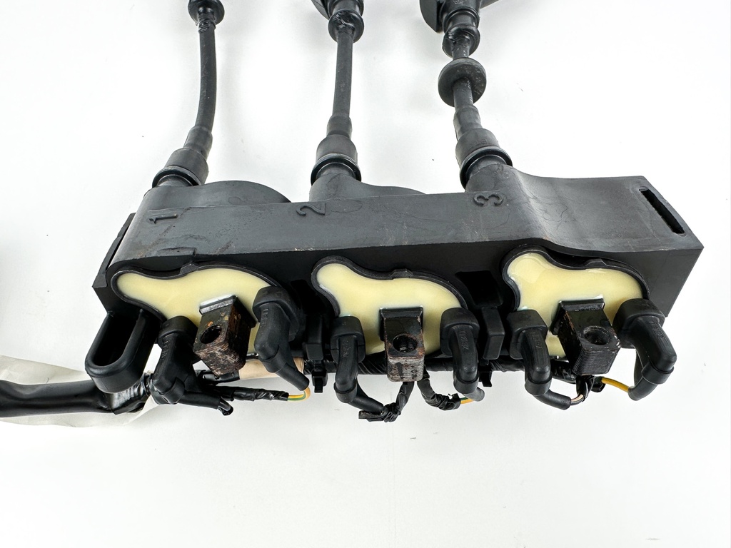 2012 Honda 50 HP 4 Stroke Outboard Ignition Coil Set 30511-ZZ5-013 OEM