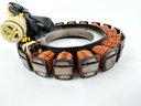 2012 Honda 50 HP 4 Stroke Outboard Stator Assembly 31632-ZZ5-003 OEM