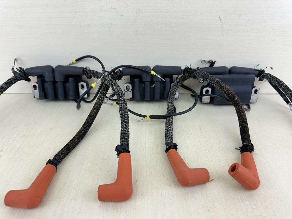 2007 Evinrude 150HP Etec 2 Stroke Outboard Dual Ignition Coil Set With Plug Wires