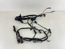2003 Johnson Evinrude 150HP 2 Stroke Outboard Engine Wire Harness 0586028