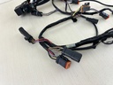 2003 Johnson Evinrude 150HP 2 Stroke Outboard Engine Wire Harness 0586028