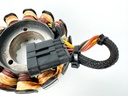 Evinrude Etec 40 50 60 75 90 HP 2 Stroke Stator Assembly 0586949 586949