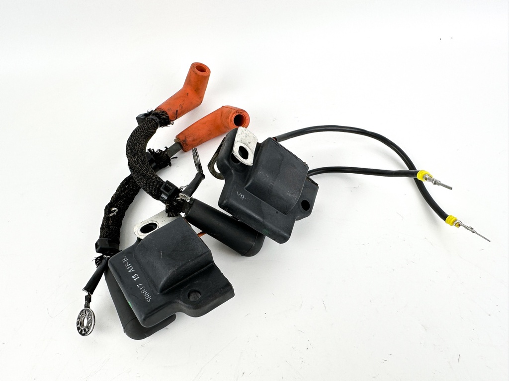 2006 Evinrude 60 HP 2 Stroke Outboard Ignition Coil Set 0586817 OEM