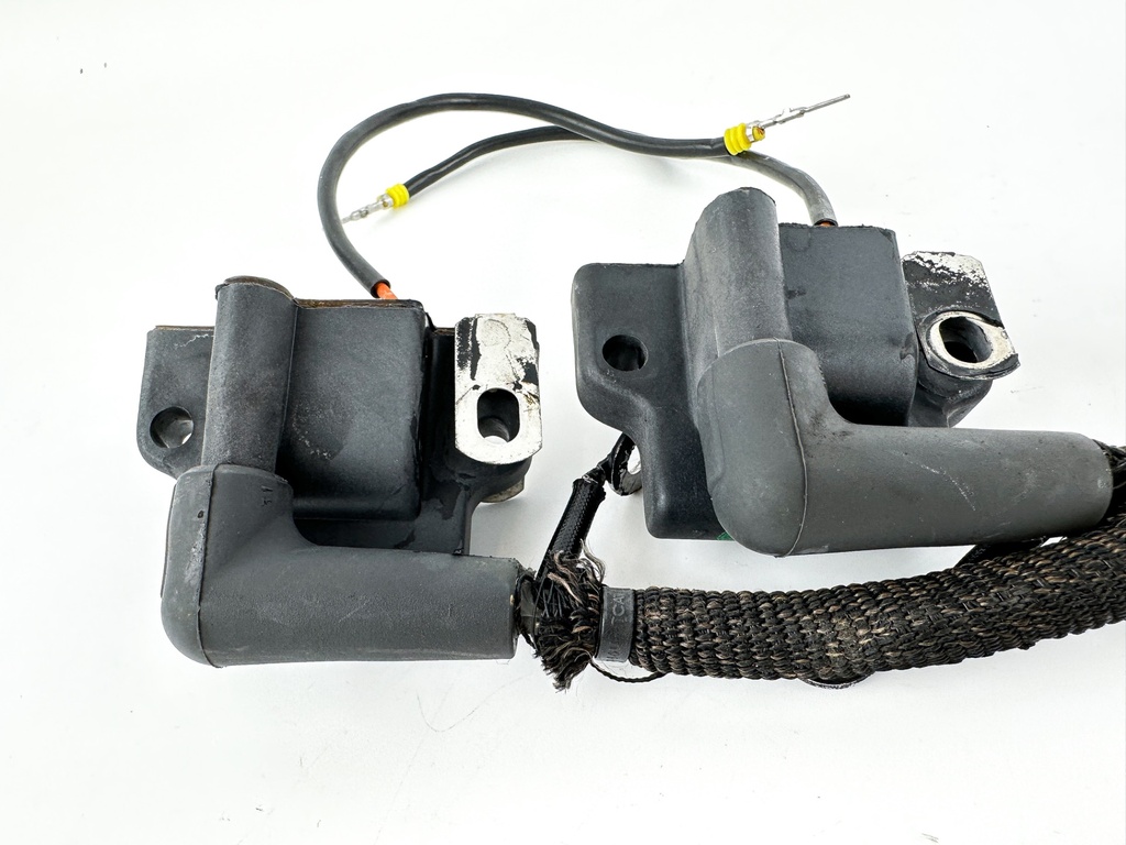 2006 Evinrude 60 HP 2 Stroke Outboard Ignition Coil Set 0586817 OEM