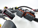 2006 Evinrude 60 HP 2 Stroke Outboard Engine Wire Harness 0586863 OEM