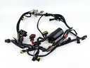 2006 Evinrude 60 HP 2 Stroke Outboard Engine Wire Harness 0586863 OEM