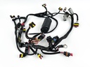 2006 Evinrude 60 HP 2 Stroke Outboard Engine Wire Harness 0586863 OEM