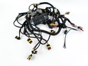 2009 Evinrude 90 HP 2 Stroke Outboard Engine Wire Harness 0586973 OEM