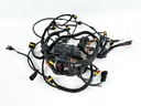 2009 Evinrude 90 HP 2 Stroke Outboard Engine Wire Harness 0586973 OEM