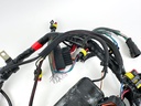 2009 Evinrude 90 HP 2 Stroke Outboard Engine Wire Harness 0586973 OEM