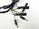 2002 Honda 50 HP 4 Stroke Outboard Engine Wire Harness 32520-ZV5-820 OEM
